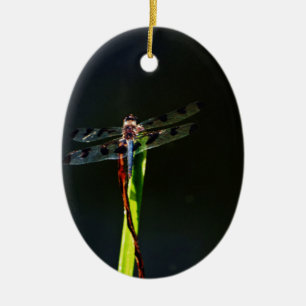 Blue and black  Dragonfly on green and red grass Ceramic Tree Decoration