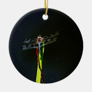 Blue and black  Dragonfly on green and red grass Ceramic Tree Decoration