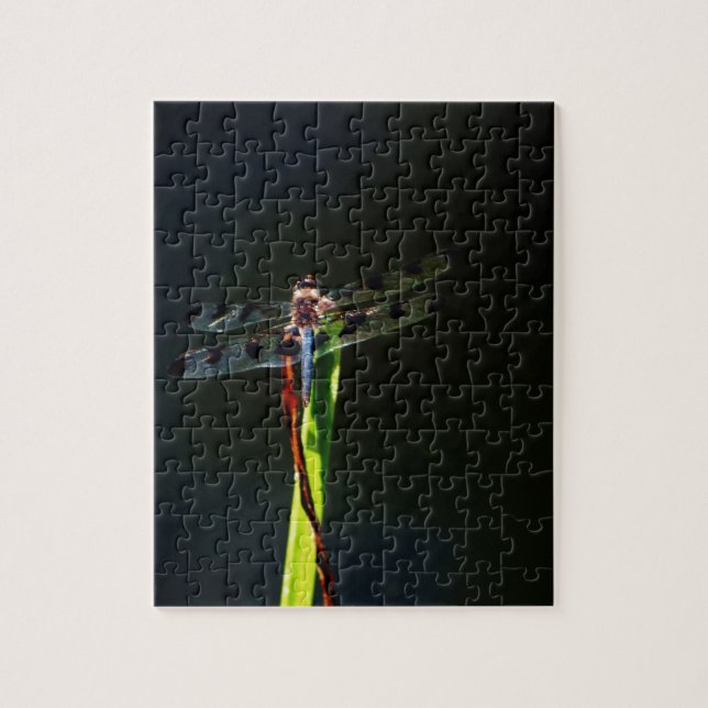 Blue and black  Dragonfly on green and red grass Jigsaw Puzzle (Vertical)