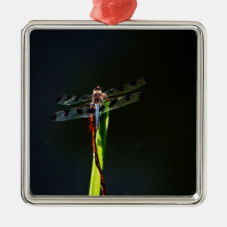Blue and black  Dragonfly on green and red grass Metal Tree Decoration