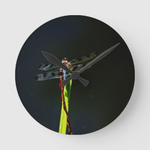 Blue and black Dragonfly on green and red grass Round Clock