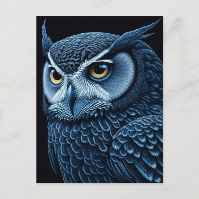 Blue and Black Serious Owl  Postcard (Front)