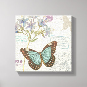 Blue and Brown Butterfly Canvas Print