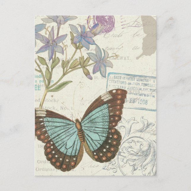 Blue and Brown Butterfly Postcard (Front)