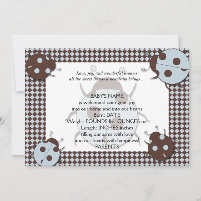 Blue and Brown Ladybug Baby Announcement (Front)