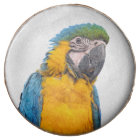 Blue and Gold Macaw