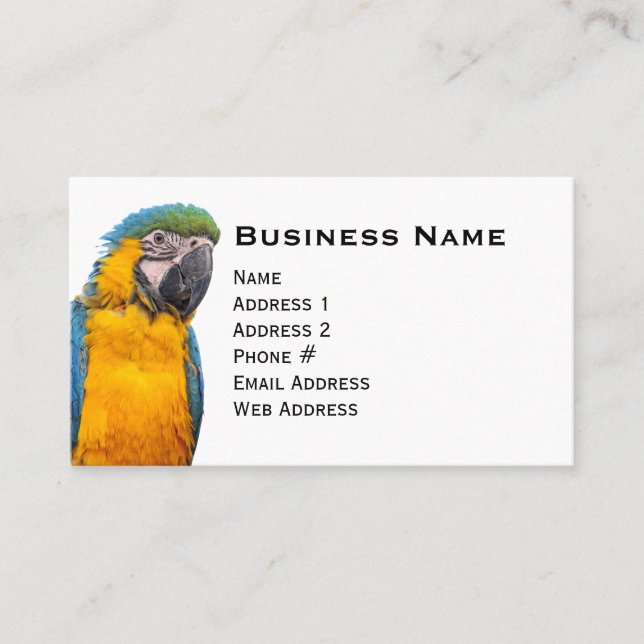 Blue and Gold Macaw Business Card (Front)
