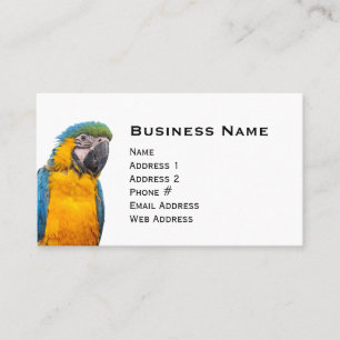 Blue and Gold Macaw Business Card