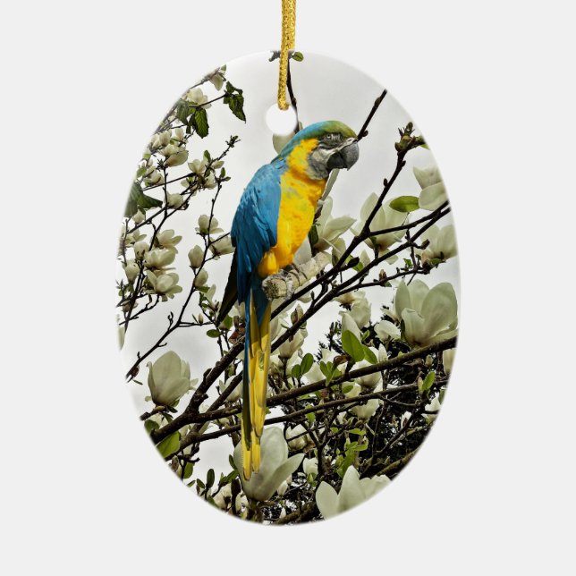 Blue and Gold Macaw Ceramic Tree Decoration (Front)