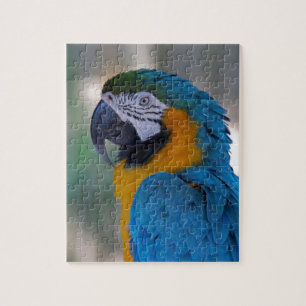 Blue and Gold Macaw Jigsaw Puzzle