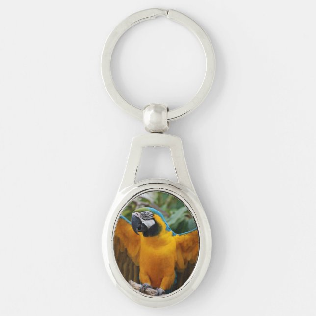 Blue and Gold Macaw Key Ring (Front)