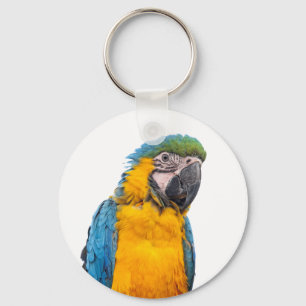 Blue and Gold Macaw Key Ring