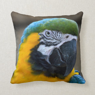 blue and gold macaw parrot head view c cushion