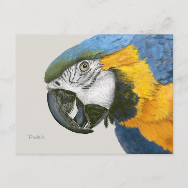 Blue and Gold Macaw Postcard (Front)