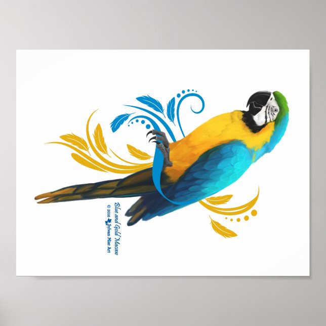 Blue and Gold Macaw Poster (Front)