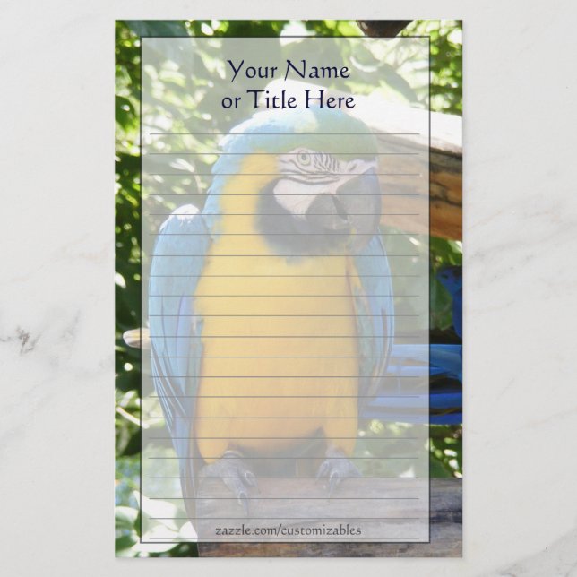Blue and Gold Macaw Stationery (Front)
