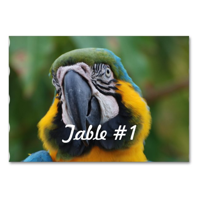 Blue and Gold Macaw Table Number (Front)