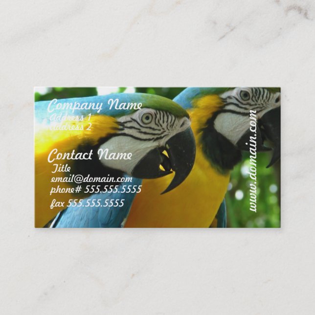 Blue and Gold Macaws Business Card (Front)