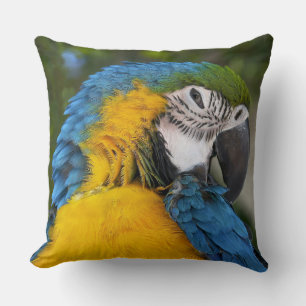 Blue And Gold Parrot Cushion