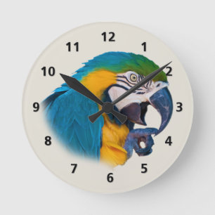Blue and Gold Parrot Customisable Round Clock