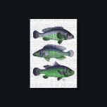 Blue and Green Fish Trio Canvas Print<br><div class="desc">Coastal & Tropical</div>
