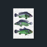 Blue and Green Fish Trio Canvas Print<br><div class="desc">Coastal & Tropical</div>