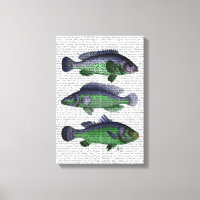 Blue and Green Fish Trio