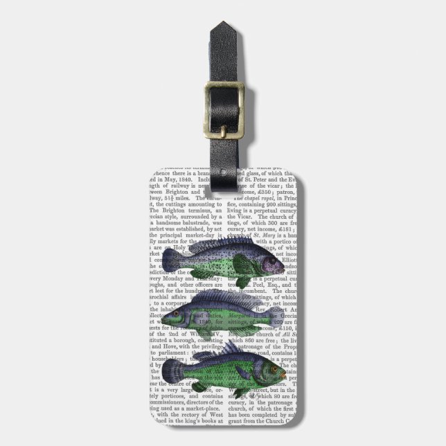 Blue and Green Fish Trio Luggage Tag (Front Vertical)