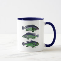 Blue and Green Fish Trio