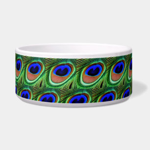 Blue and Green Peacock Feather