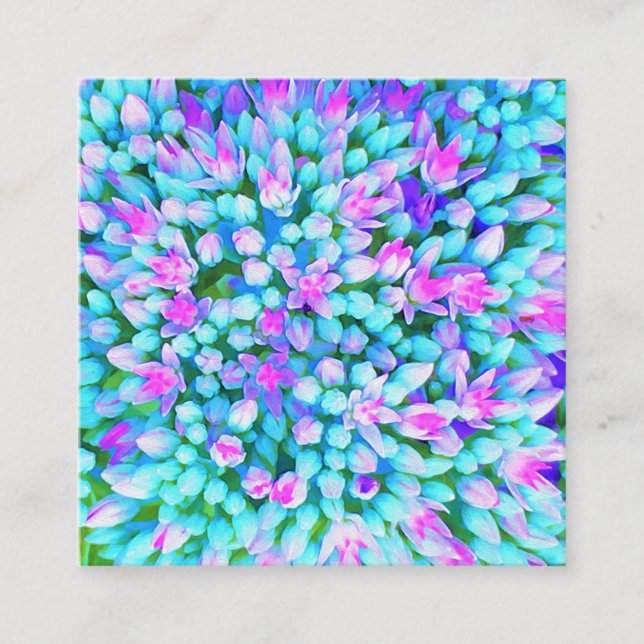 Blue and Hot Pink Succulent Sedum Flowers Detail Square Business Card (Front)
