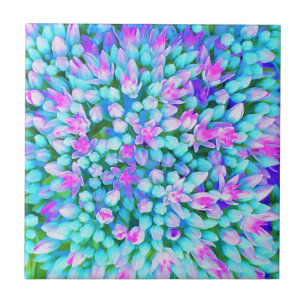 Blue and Hot Pink Succulent Sedum Flowers Detail Tile