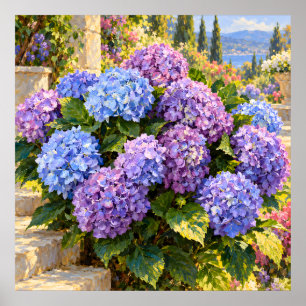Blue and Lilac Hydrangeas in a Sunlit Coastal Gard Poster