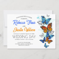 Blue and Orange Butterflies Morpho Monarch