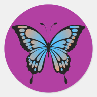  Blue and Orange Butterfly Sticker