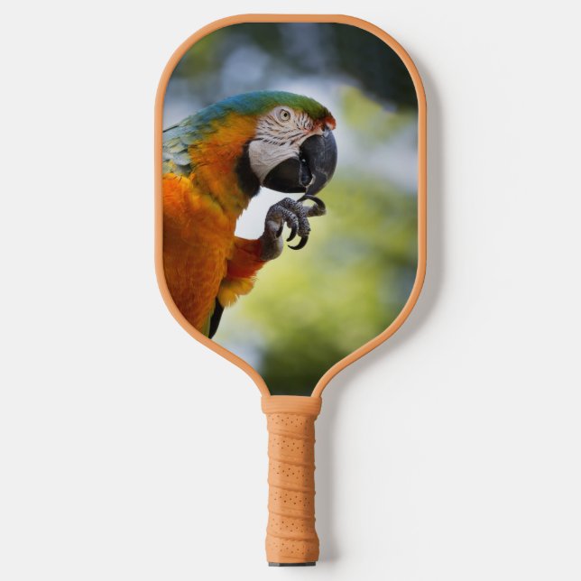Blue and Orange Macaw Pickleball Paddle (Front)