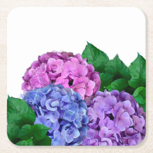 Blue and Pink Hydrangea Flowers  Square Paper Coaster