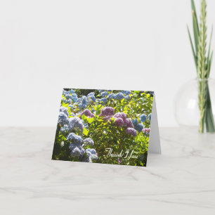 Blue and Pink Hydrangea Thank You Card