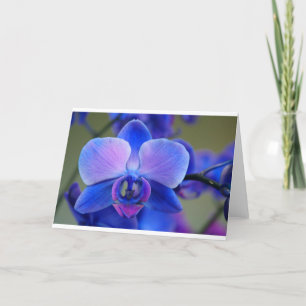 Blue and Pink Orchid Holiday Card