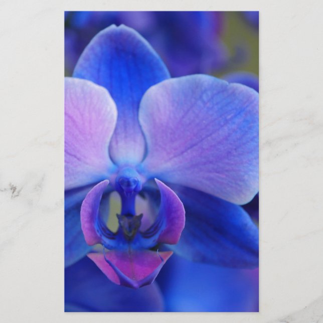 Blue and Pink Orchid Stationery (Front)