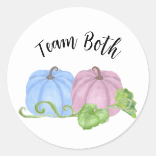 Blue and Pink pumpkin twin gender reveal Team Both Classic Round Sticker