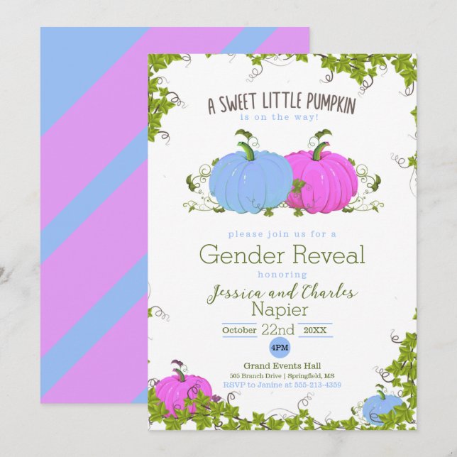 Blue and Pink Sweet little pumpkin Gender Reveal Card (Front/Back)
