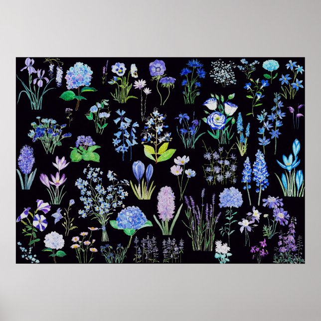 blue and purple flowers black background  poster (Front)