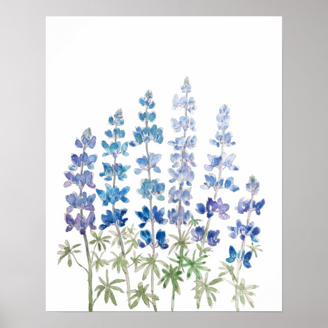 blue and purple lupin flowers watercolor  poster (Front)