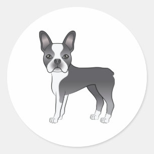 Blue And White Boston Terrier Dog Illustration Classic Round Sticker