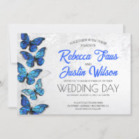Blue and White Butterflies Morpho Monarch