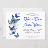 Blue and White Butterflies Morpho Monarch
