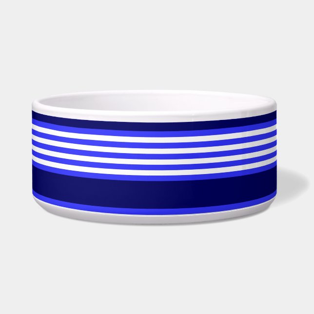 Blue and white five stripes pattern (Front)