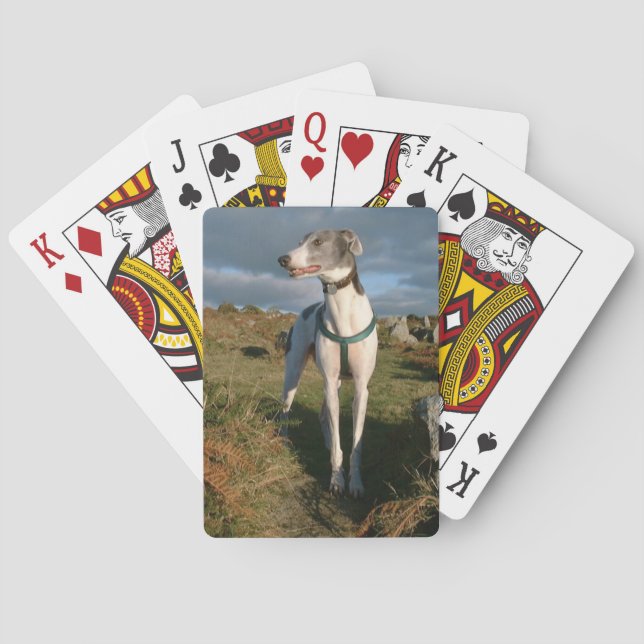 Blue and white greyhound playing cards (Back)