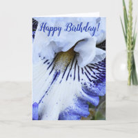 Blue and White Iris Floral Birthday